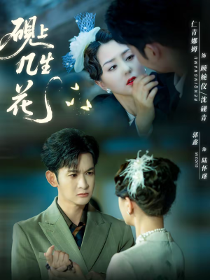 砚上几生花（62集）热播短剧停不下来