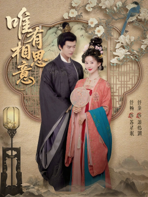 唯有相思意(100集) 唯有相思意(100集)热门短剧抢先看全集