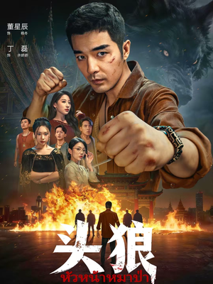 头狼（77集）最近很火的短剧