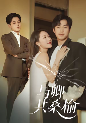 与卿共桑榆(63集) 与卿共桑榆(63集)短剧大结局限免特辑