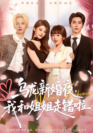 乌龙新婚夜,我和姐姐走错啦(59集) 乌龙新婚夜,我和姐姐走错啦(59集)红果短剧免费看全局