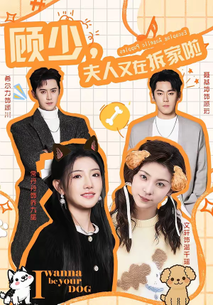 顾少，夫人又在拆家啦（78集）一起看短剧下集更精彩