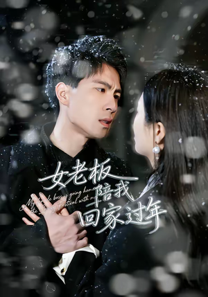 女老板陪我回家过年(40集) 女老板陪我回家过年(40集)都市短剧推荐免费看