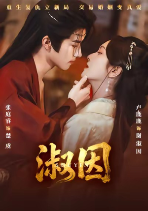 淑因（65集）温柔追捕短剧剧情全剧终