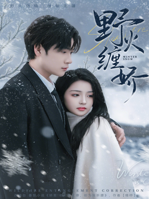 野火缠娇（66集）一口气看完热门短剧