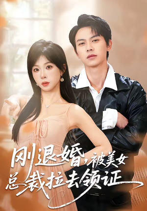 刚退婚，被美女总裁拉去领证（81集）这部短剧太好看