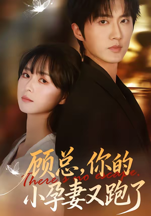 顾总，你的小孕妻又跑了（47集）免费看全网影视短剧动漫