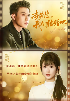 凌先生，我们结婚吧（68集）精彩免费短剧观看全集