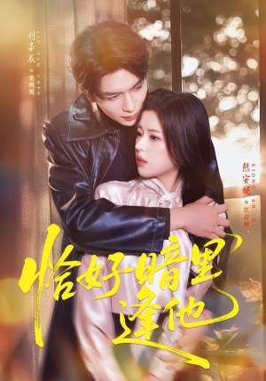 恰好暗里逢他（66集）短剧结局合集限免刷