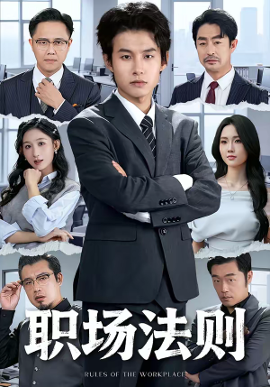 职场法则（79集）好看的短剧电视剧