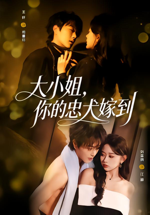 大小姐，你的忠犬嫁到（80集）短剧在哪看是免费的