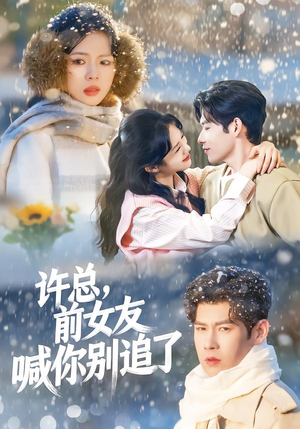 许总，前女友喊你别追了（80集）精彩好看的短剧