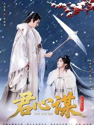 君心谋（80集）热播短剧推荐点击抢先看全集