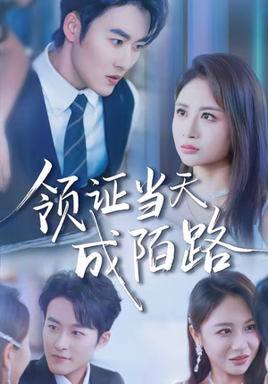 领证当天成陌路(39集) 领证当天成陌路(39集)全集免费看热门短剧推荐