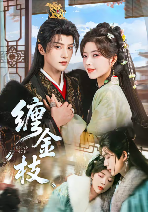 缠金枝（69集）最新火爆短剧来袭