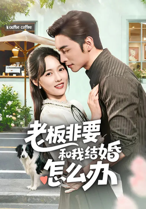 老板非要和我结婚怎么办（50集）短剧大结局完美收官