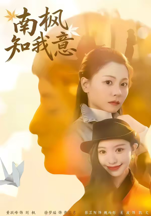 南枫知我意（41集）免费观看精彩短剧