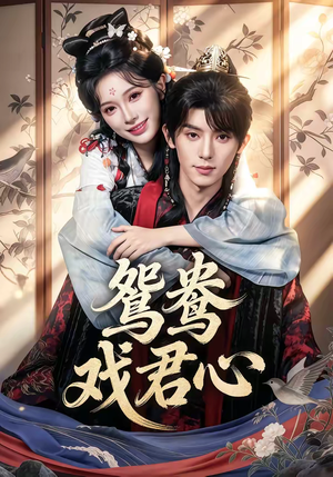 鸳鸯戏君心（60集）全集短剧免费上线观看