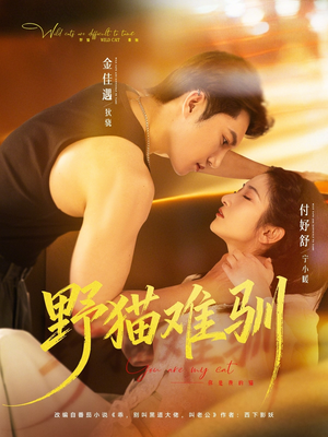 野猫难驯（73集）短剧上头又好看
