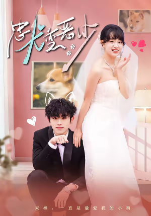 惊！我家来福变恶少了＆忠犬变恶少（80集）好看的短剧电视剧