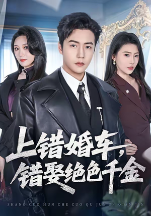 上错婚车，错娶绝色千金（80集）短剧热映全集免费刷