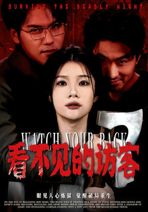 看不见的访客（62集）精彩短剧看全集