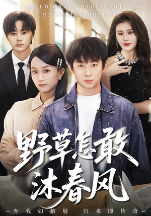 野草怎敢沐春风（61集）哪个短剧网能看