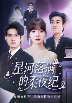 星河落满的柔夜纪（88集）热门短剧推荐网站