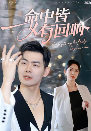 命中皆有回响（62集）热门短剧看不停