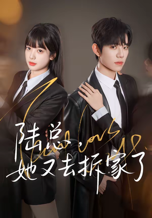 陆总，她又去拆家了（80集）免费观看精彩短剧