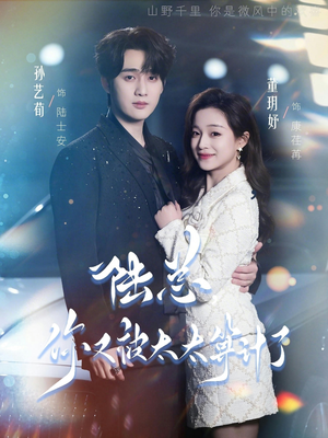 陆总，你又被太太算计了（70集）短剧超清全集在线看