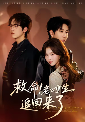救命！老公重生追回来了（40集）短剧大结局太精彩了