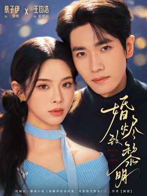 婚烬致黎明（77集）全集免费观看西瓜短剧