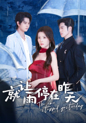 就让雨停在昨天（70集）热门短剧推荐每晚准时更新