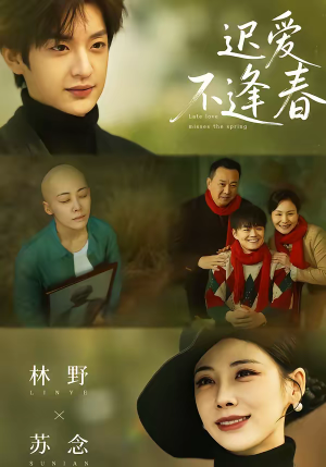 迟爱不逢春（62集）短剧超清全集在线看