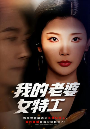 我的老婆女特工（62集）短剧免费在线看全集