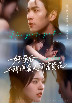 夜先生的小欢喜（71集）热播短剧持续更新