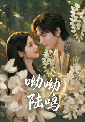 呦呦陆鸣（67集）短剧上头又好看