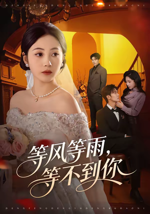 等风等雨，等不到你（65集）好看的短剧分享给大家