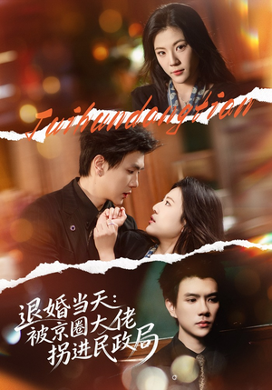 退婚当天:被京圈大佬拐进民政局(80集) 退婚当天:被京圈大佬拐进民政局(80集)无需付费短剧全集免费看