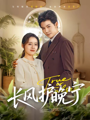 长风护晚宁（59集）热门正能量短剧推荐