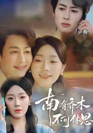 南有乔木，不可休思（68集）甜宠短剧追到爽