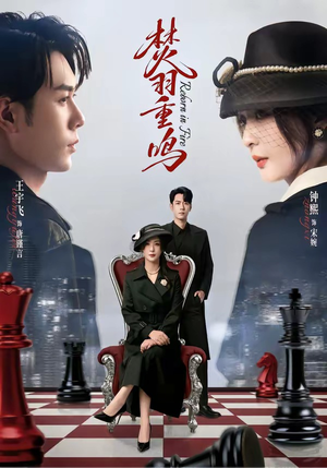 焚羽重鸣（60集）排行榜前十短剧免费看