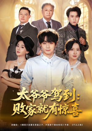 太爷爷驾到：败家就有惊喜（80集）追短剧太上头了