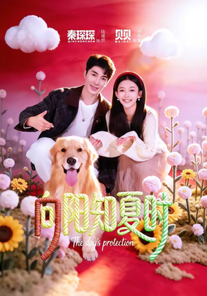 向阳知夏时（80集）不用花钱看全剧短剧