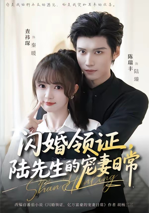 闪婚领证，陆先生的宠妻日常（86集）我全都看完了的经典短剧