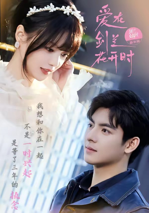 爱在剑兰花开时（56集）在红果短剧免费看全集