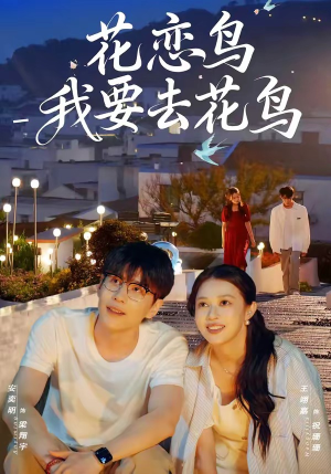 花恋鸟我要去花鸟（60集）短剧越看越精彩越看越上头
