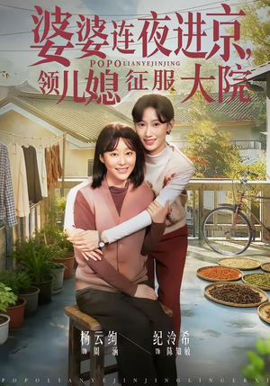 婆婆连夜进京，领儿媳征服大院（78集）这部免费的短剧太棒了