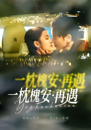 一枕槐安：再遇（70集）短剧免费看大结局